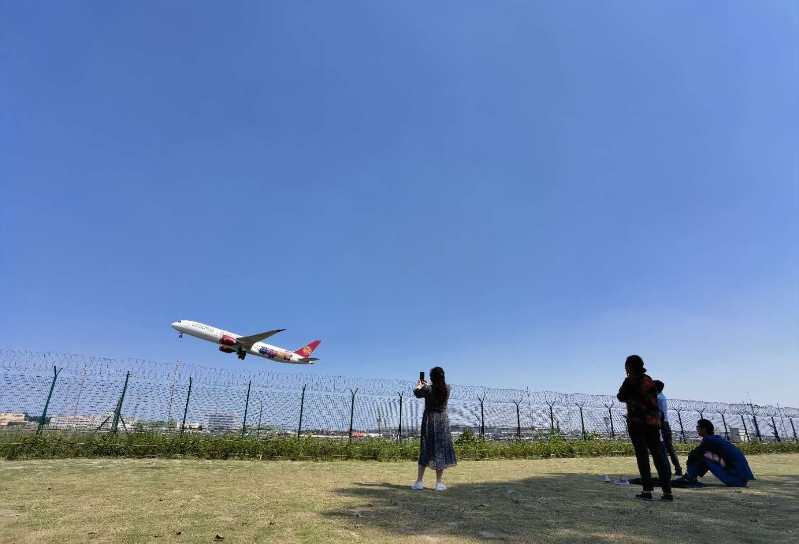 双流空港花田看飞机降落最佳地点,双流空港花田最佳位置看飞机