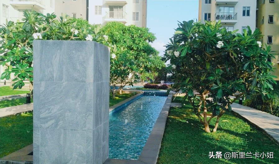 我在斯里兰卡,斯里兰卡买一套小房子多少钱