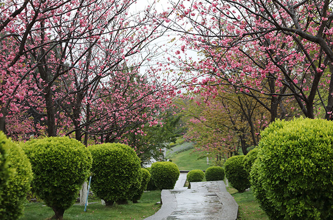 洱海旅游景点攻略,西安洱海旅游攻略必去景点