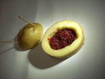 活红虫怎么简单保存,怎么保留红虫