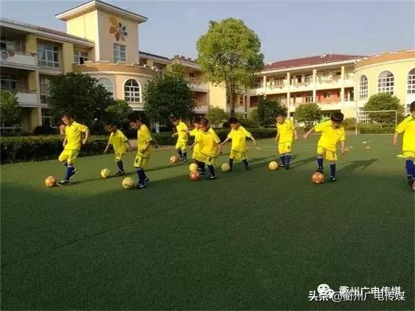全国足球特色幼儿园名单公布,衢州足球特色学校名单