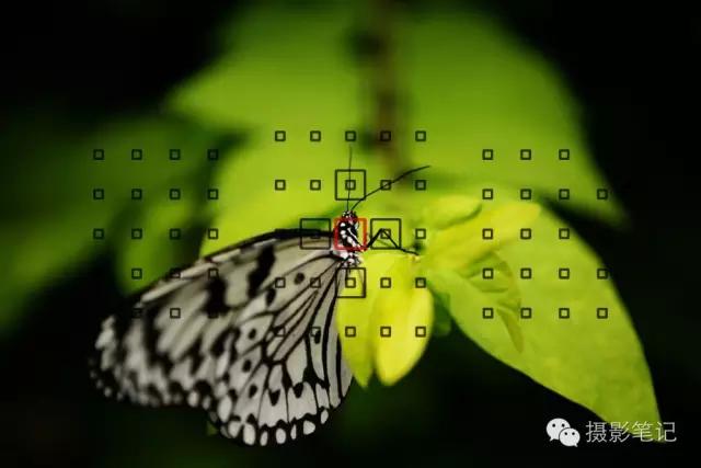 拍照用点对焦还是自动区域对焦,对焦的奥秘视频拍摄中的对焦技巧