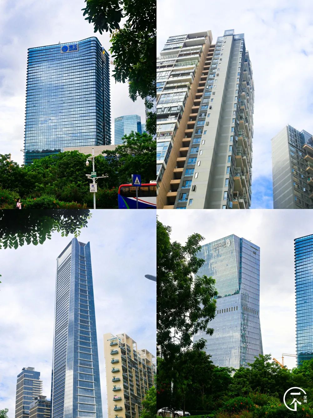 测评深圳湾,我直接被房租劝退