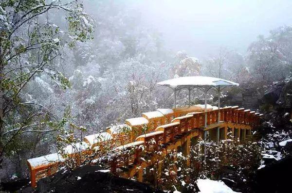九寨沟旅游神奇的九寨,九寨沟风景不输瑞士
