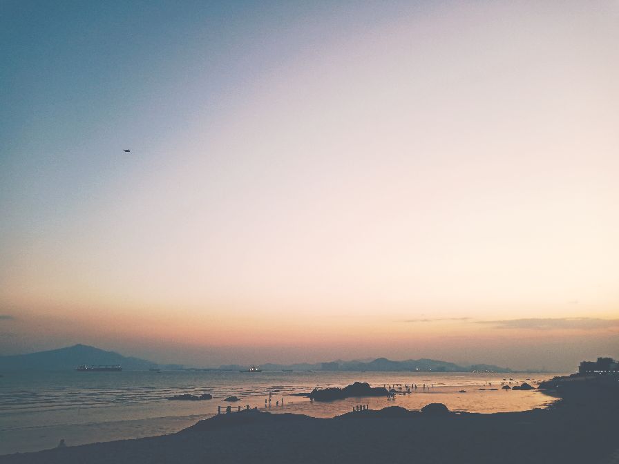 我的旅行日记夏日里的厦门,我的旅行日记厦门园林植物园