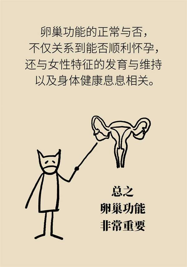 卵巢功能有衰退迹象怎么保养,卵巢功能不好会影响卵巢质量吗