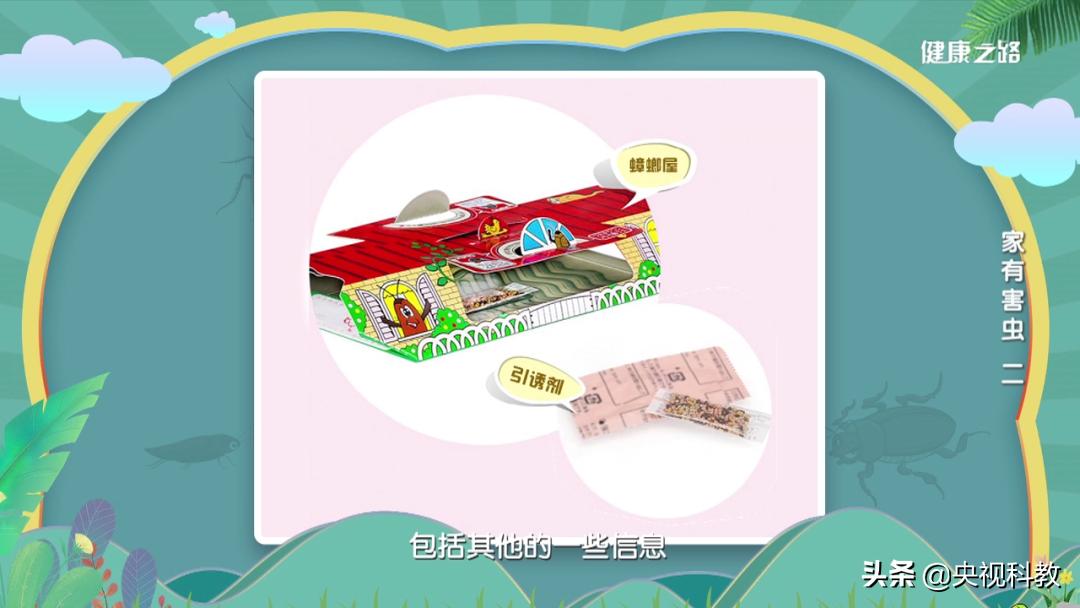 12种解决蟑螂的方法,怎么解决蟑螂最有效的方法