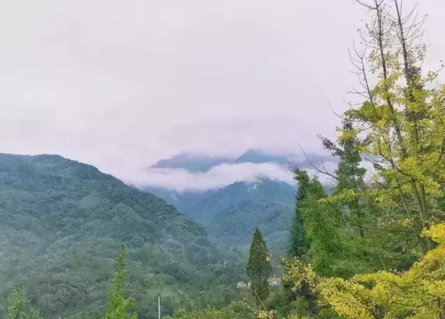 成都哪些值得去的农家乐,春季成都十大必去农家乐