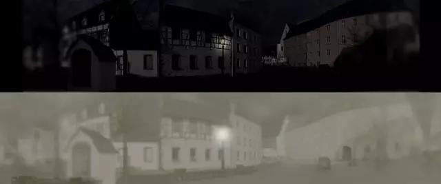 人类在猫的眼中是什么样,猫眼前的世界是什么样子的