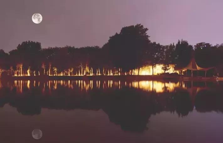 沈阳理工大学辽宁工程技术大学,沈阳理工大学专科院校