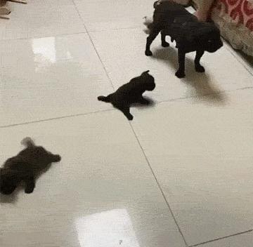 常见的20种网赚骗术揭秘,韭菜有效套路