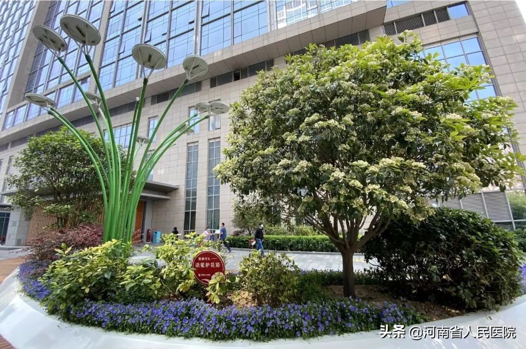 急性心梗做了支架却还是死亡,急性心梗抢救过来必须做手术么