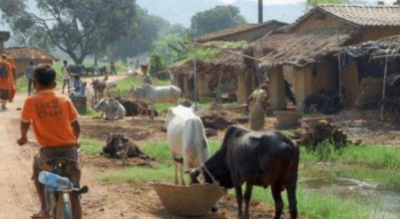 印度的公路里程达到了800万公里 (印度耕地面积为什么比中国多)