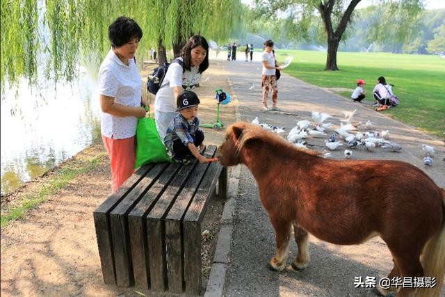 北京紫玉山庄有什么好玩的,紫玉山庄旅游度假