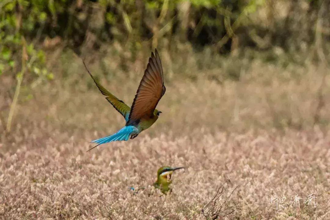 手把手教你成为摄影师,一步步教你做视频剪辑师
