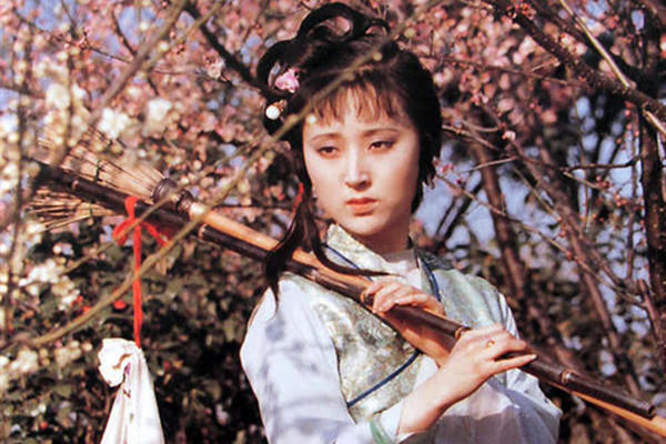 为何林黛玉一死，贾家就被抄了家？看她进荣国府，吃了啥恐怖丸药