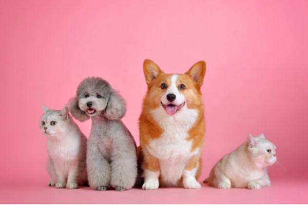 临街的房子好还是不临街的房子好,不临街房子的优缺点