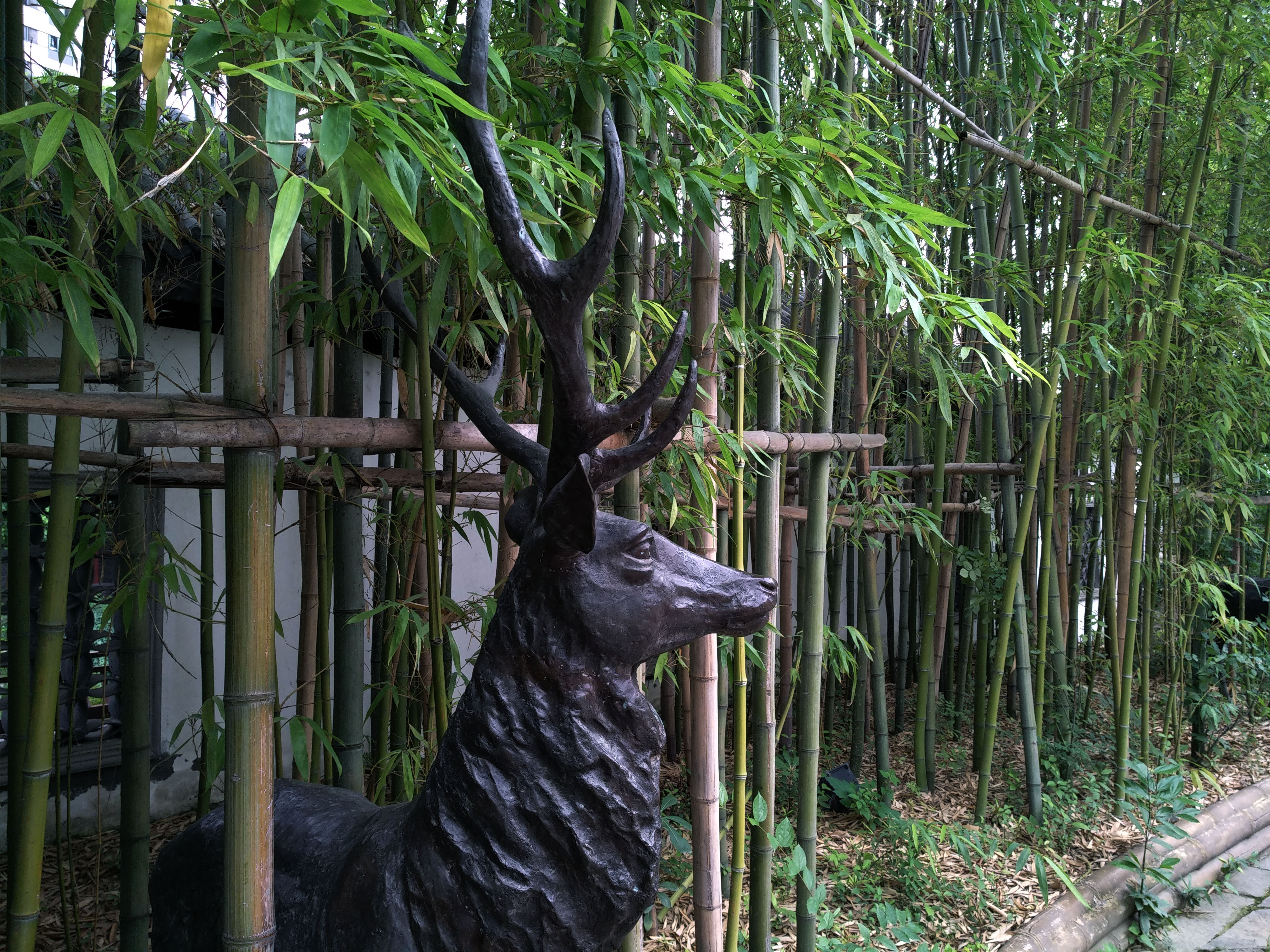 成都龙潭水乡最新消息,成都龙潭水乡别墅区