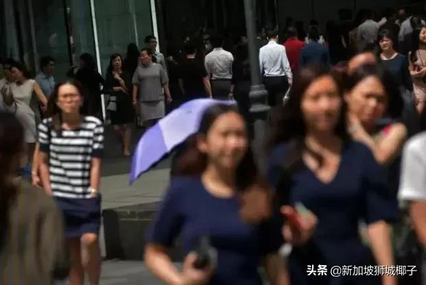 新加坡十大薪资较高的行业,新加坡职位收入前十