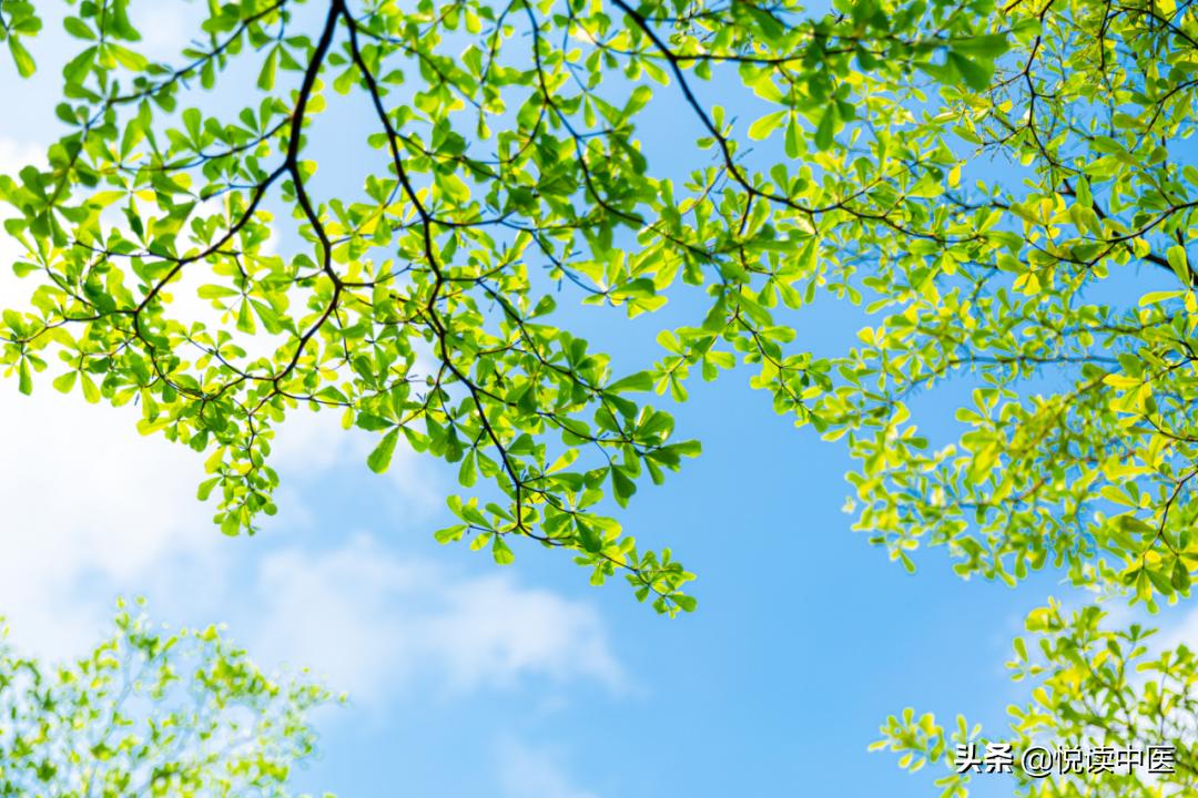 湿疹和银屑病的症状,湿疹与银屑病的区别