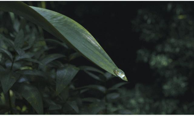 专业造就美丽,专业造就品质匠心筑梦未来