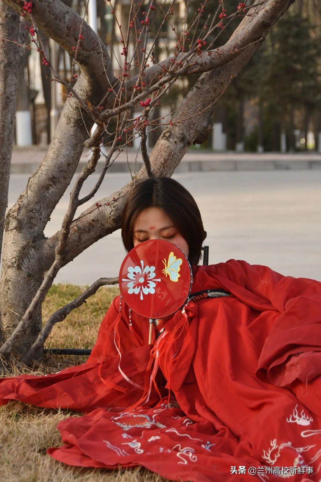 兰财校花,高校校花青春来袭你pick哪一款