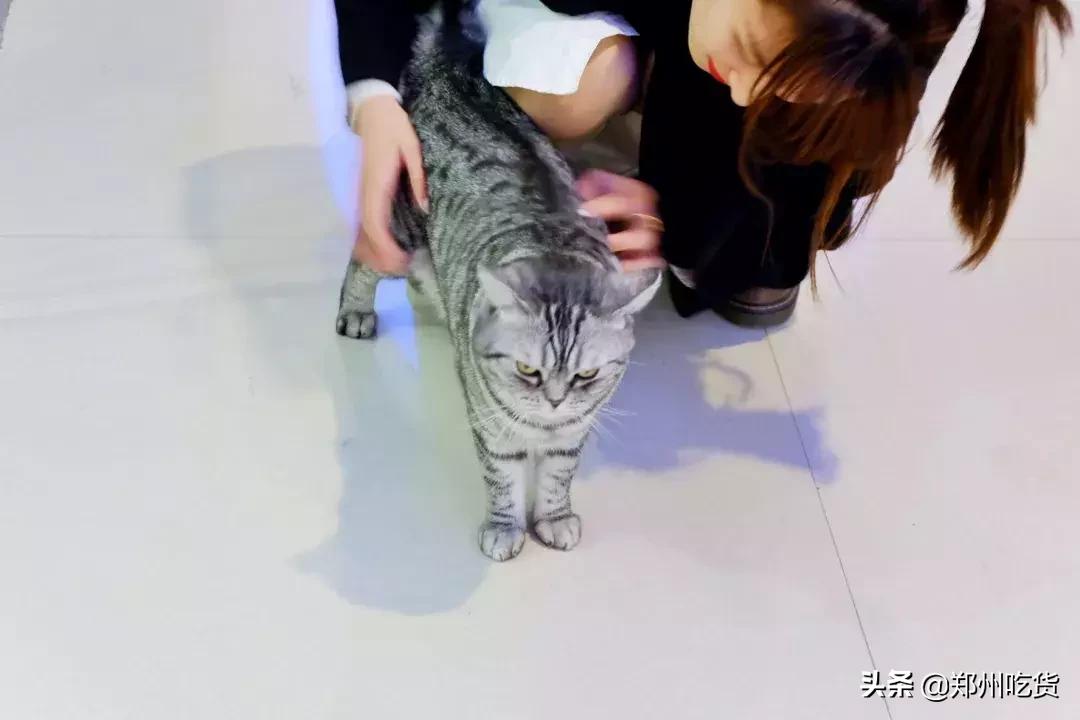 郑州哪个批发市场最便宜,最新最全郑州批发市场一览表