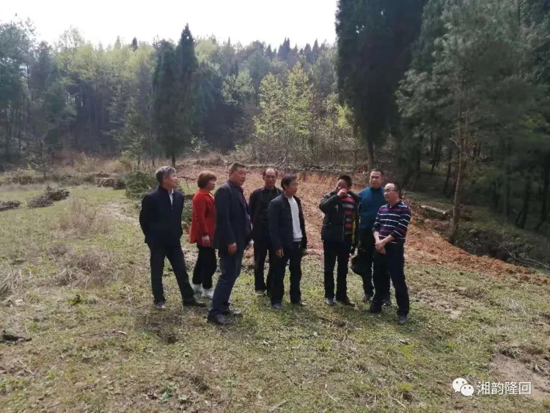 横板桥镇涧山村,隆回县横板桥镇涧山村