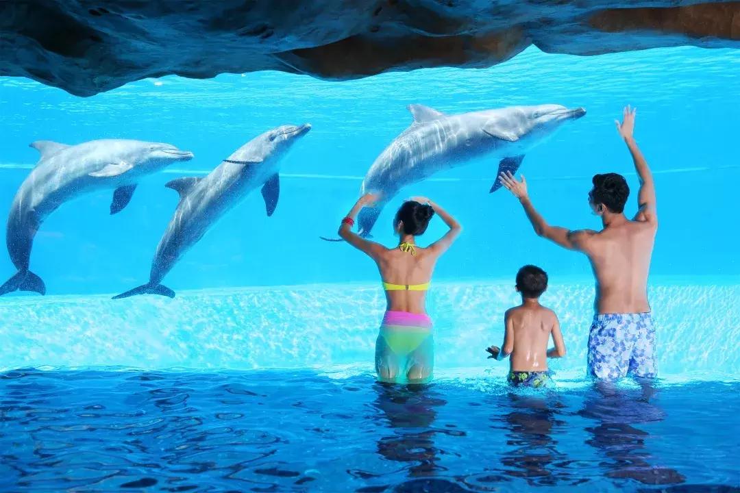 去珠海长隆玩住哪家民宿最划算,珠海长隆水上乐园民宿