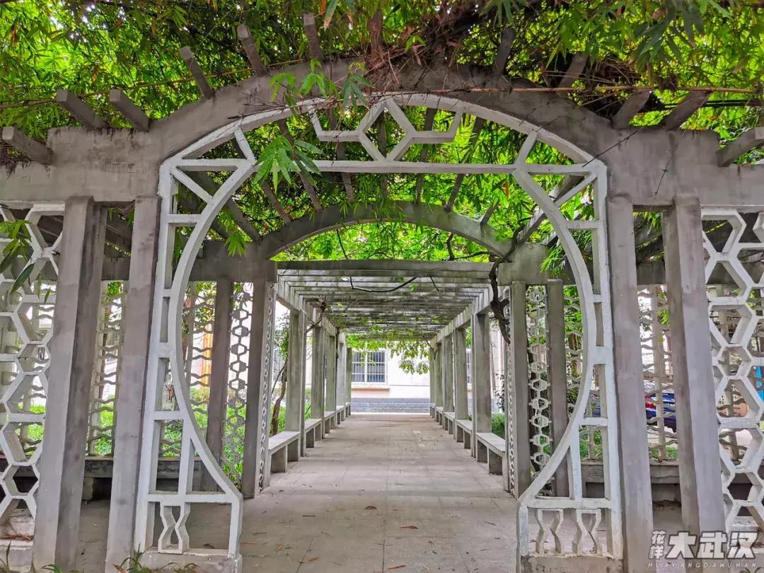 武汉科技大学的机械学院,武汉科技大学医学院和临床学院