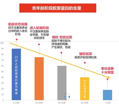 活氣麗——时尚、健康与活气吃出来