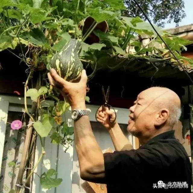 钟鼓楼历史真相,1983年北京钟鼓楼修复