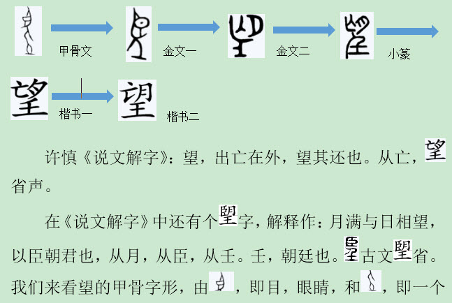 说文解字文化常识,说文解字阅读理解