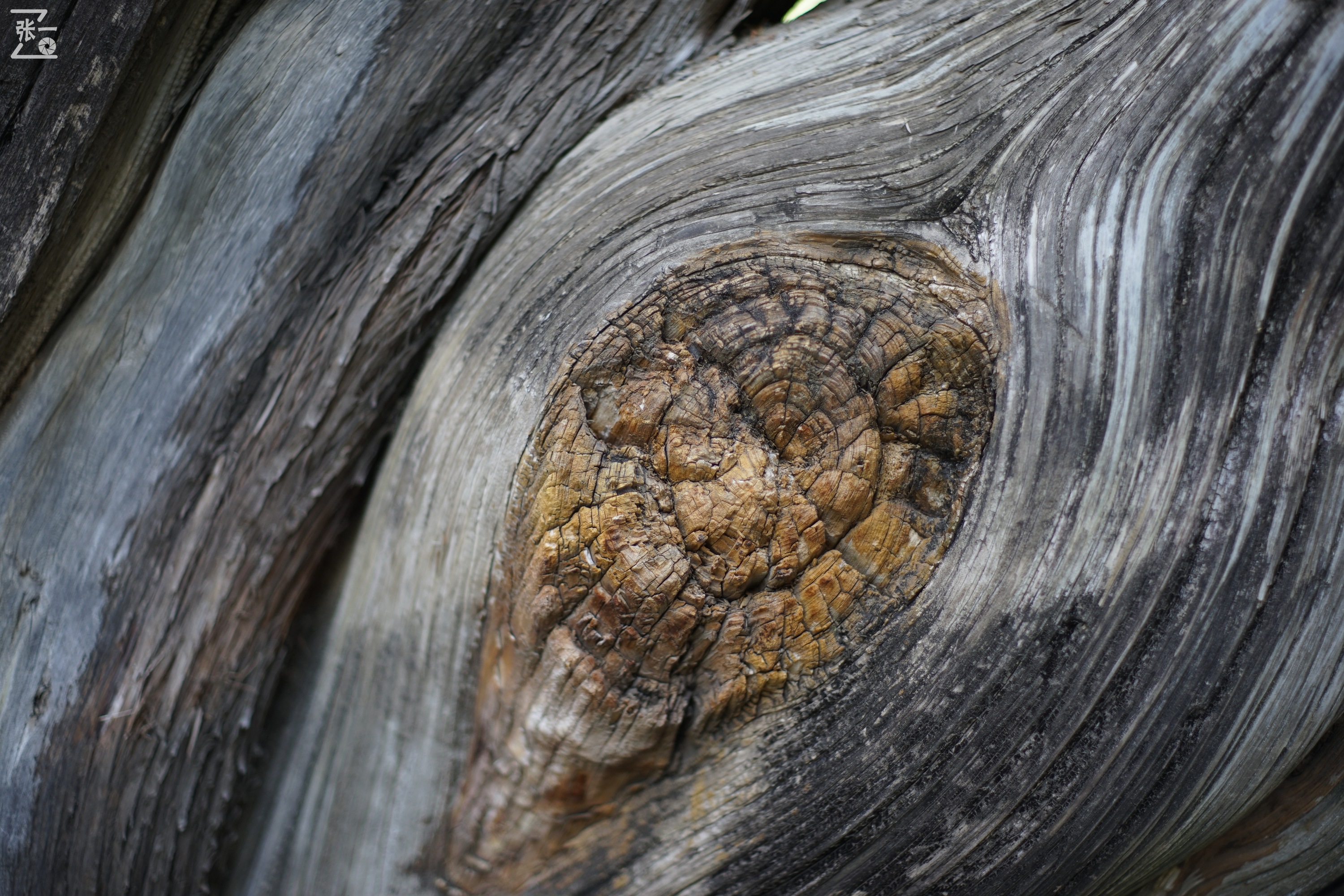 宾得老镜头k系列,老北京镜头