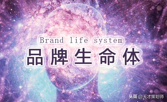 品牌营销思维与策略,品牌营销新思维