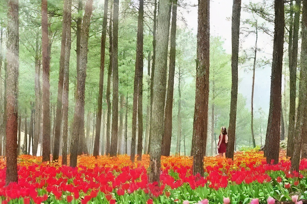 重庆风景优美的旅游地免费,重庆风景好的地方三天自驾游