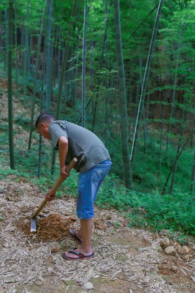 杭州自驾露营三日游,杭州三日游自驾最佳方案