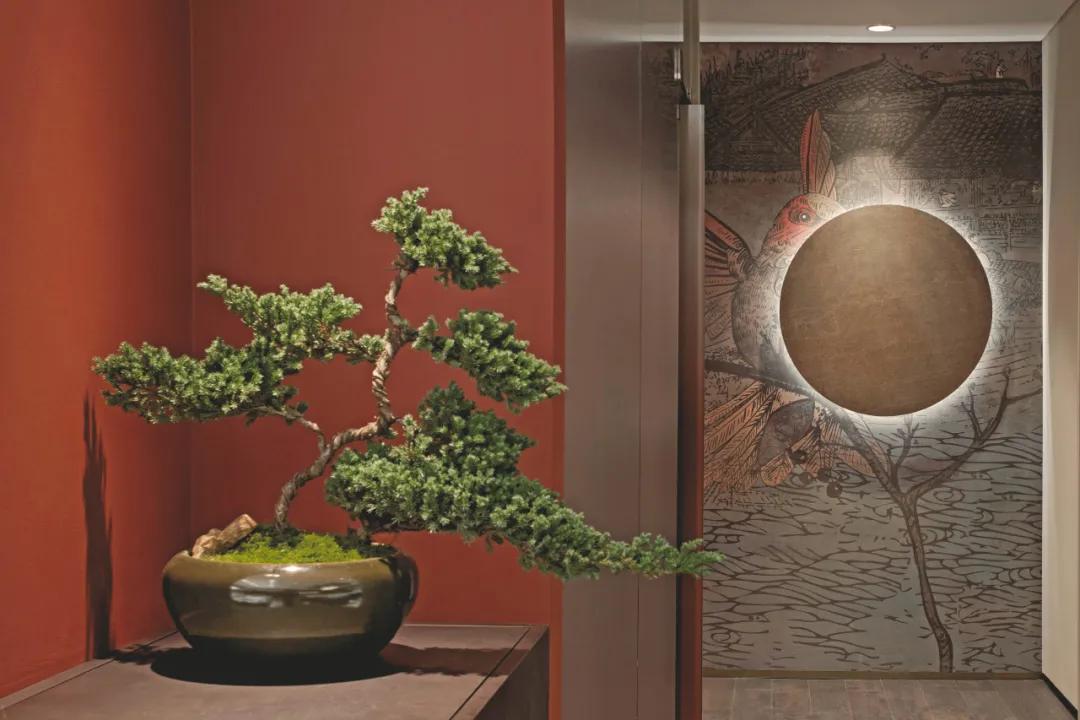 品真阁北京,品真阁北京实体店