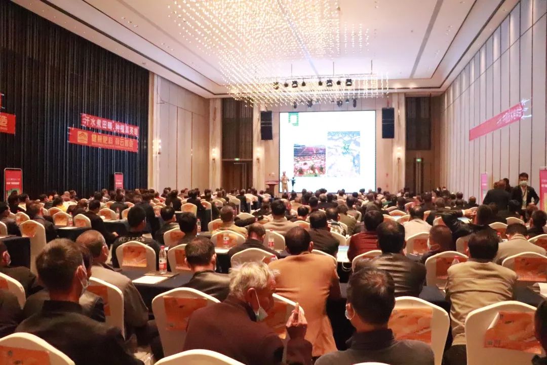 祥云杯武穴第二届创新创业大赛,祥云杯科技