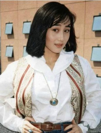 甄子丹李连杰历史对决视频,甄子丹与李连杰身体差距很大