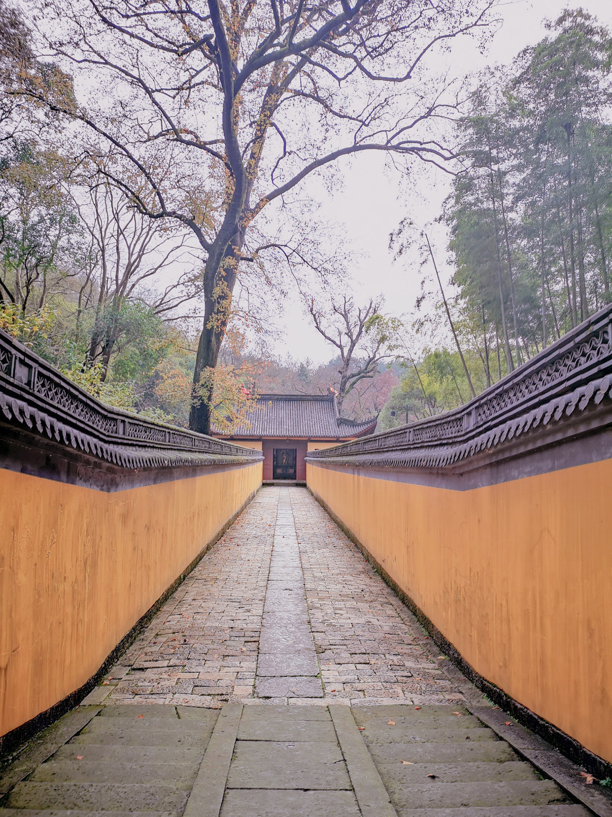 “越国敦煌”，1600多年的佛国洞天——新昌大佛寺