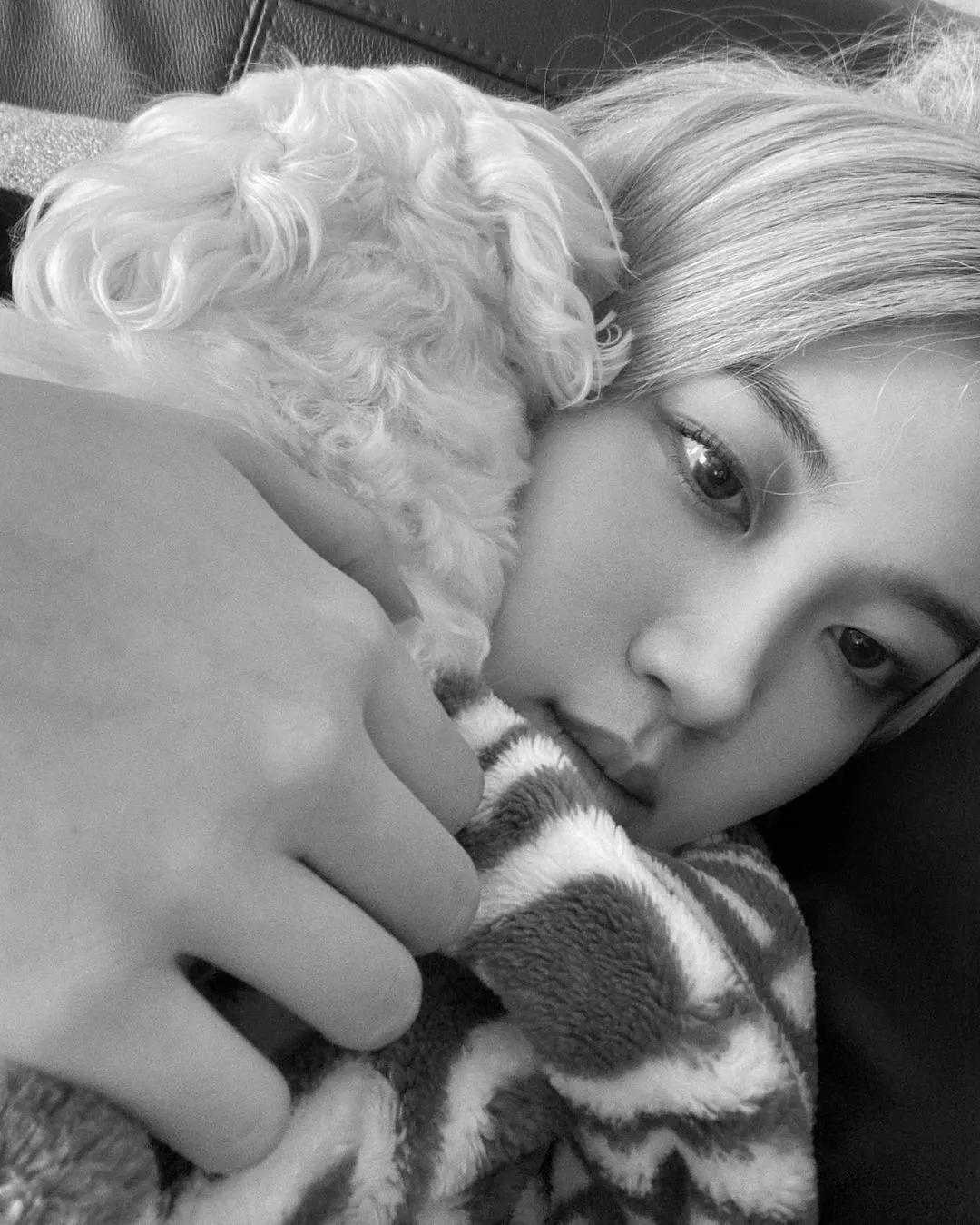 lisa和rosie秀恩爱,lisa与rosa在直播间接吻