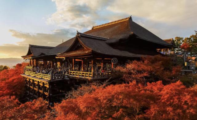 日本旅行6天五晚,毕业季日本旅游攻略自由行