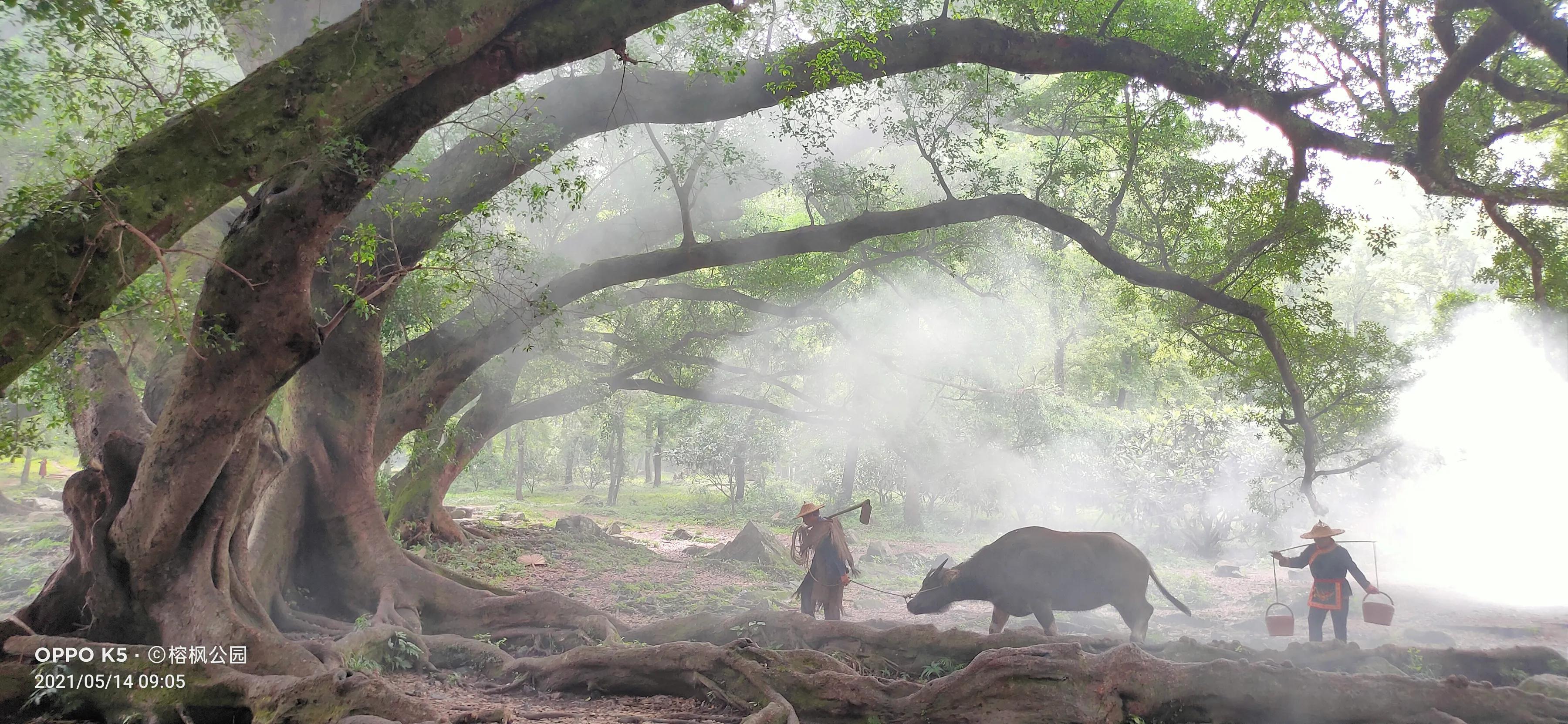 手拍世界投稿,手拍世界作品专集