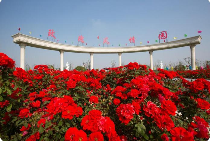 五一不能错过的花海,五一不能错过的美丽花海