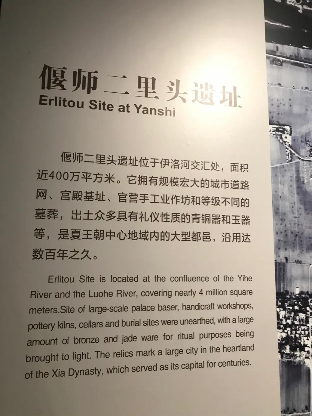 芳村普洱茶好吗,芳村大益普洱茶每日最新价格行情