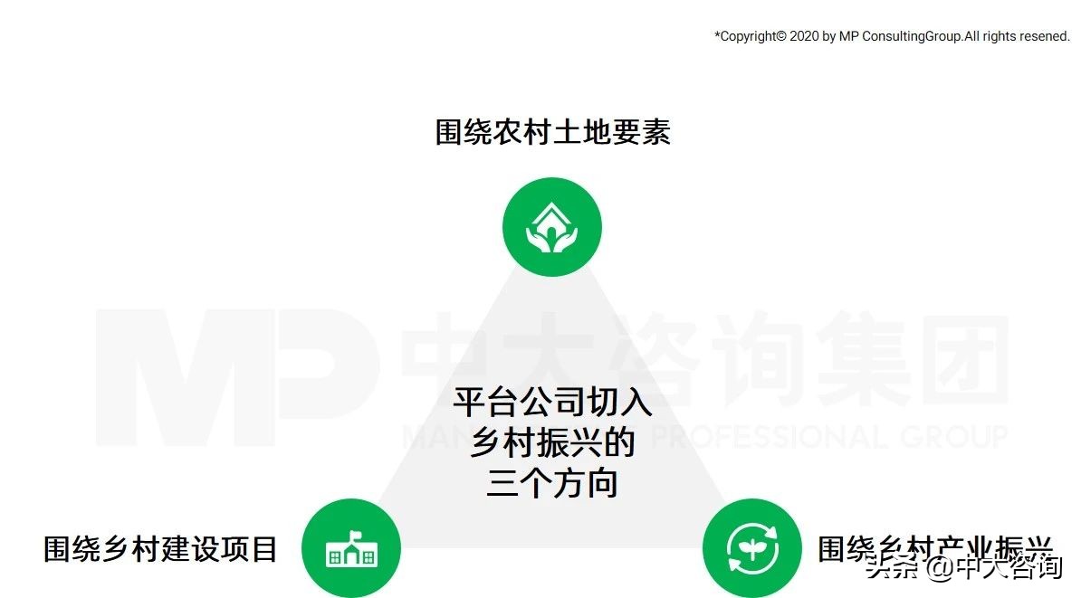 中大咨询：全面推进乡村振兴，平台公司这么干