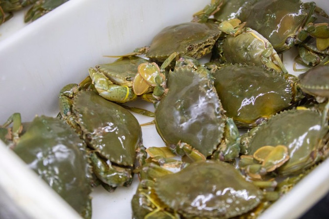 离岛微城慢生活民宿,嵊泗本岛真实体验