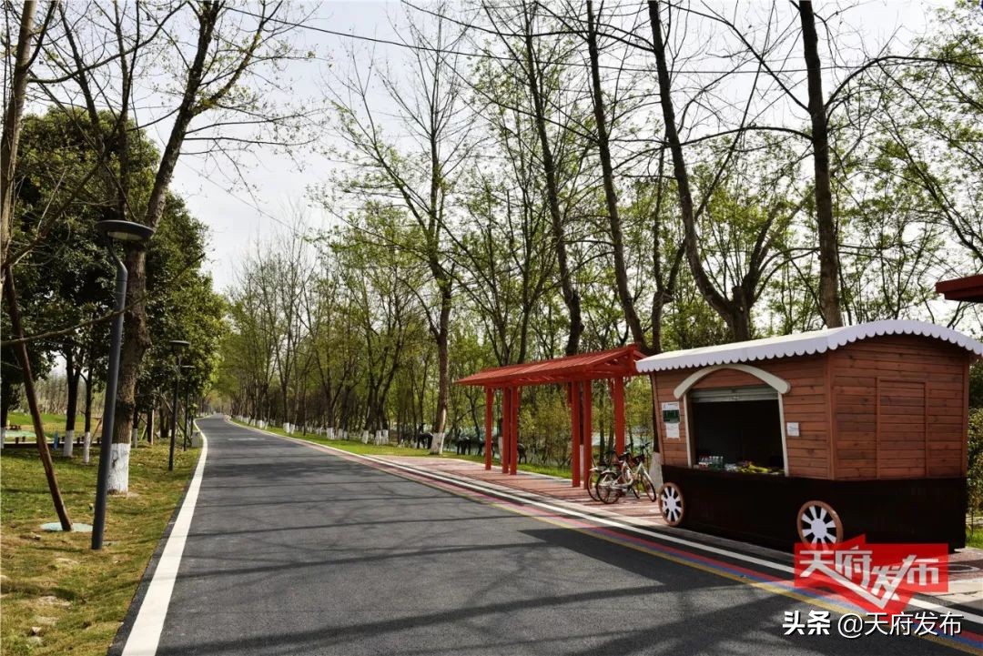 世警会游玩视频,世警会时间安排表