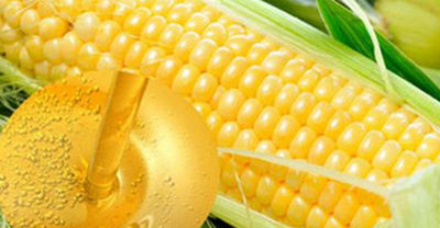 买玉米时，别只看大小颜色了，知道这5种特点，是甜是粘自己选